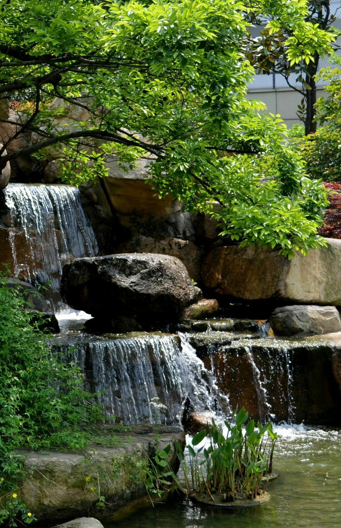 Millennium Hotel Wuxi Wuxi  Ngoại thất bức ảnh